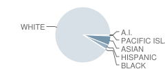 Robert E. Melican Middle School Student Race Distribution