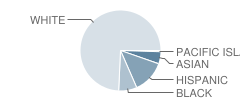 Cornelius M Callahan School Student Race Distribution