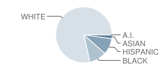 Pittsfield High School Student Race Distribution