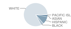 Hedge School Student Race Distribution