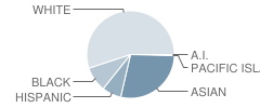 Quincy High School Student Race Distribution