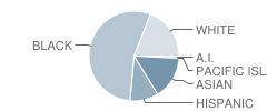 J F Kennedy Elementary School Student Race Distribution