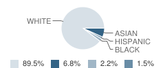 Birch Meadow School Student Race Distribution