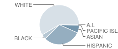 Augustine C Whelan Mem School Student Race Distribution