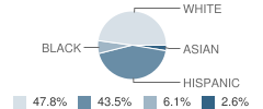 Seacoast School Student Race Distribution