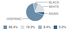 E Somerville Community School Student Race Distribution