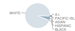 Mosier School Student Race Distribution