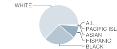 Southeastern Regional Vocational Technology School Student Race Distribution