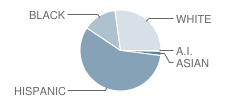 Glenwood School Student Race Distribution