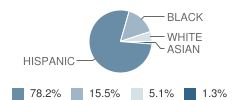 Lincoln School Student Race Distribution