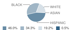 Margaret C Ells School Student Race Distribution