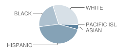 Dryden Memorial School Student Race Distribution