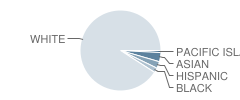 Stoneham High School Student Race Distribution