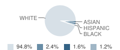 Elizabeth S Brown School Student Race Distribution