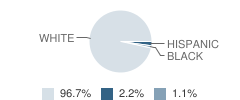 Gardner School Student Race Distribution