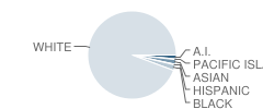 North Street School Student Race Distribution