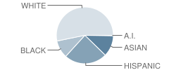 Douglas Macarthur Elementary School Student Race Distribution