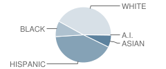 William F. Stanley Elementary School Student Race Distribution