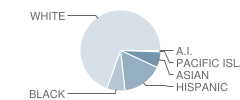 Northeast Elementary School Student Race Distribution