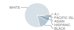 Wareham High School Student Race Distribution