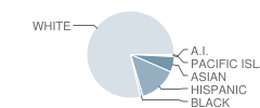 James Russell Lowell School Student Race Distribution