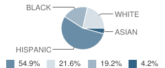 Burncoat Street School Student Race Distribution
