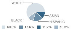 Lake View School Student Race Distribution