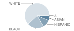 Tuscarora High School Student Race Distribution