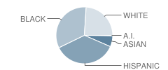 Northwood High School Student Race Distribution