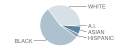 North Point High School Student Race Distribution