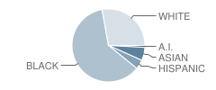 William A. Diggs Elementary School Student Race Distribution