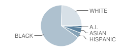 Theodore G. Davis Middle School Student Race Distribution