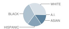 Clarksburg High School Student Race Distribution