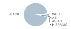 Benjamin D. Foulois Academy Student Race Distribution