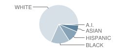 Evergreen Elementary School Student Race Distribution