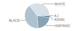 Wiley H. Bates Middle School Student Race Distribution