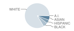 Broadneck Elementary School Student Race Distribution