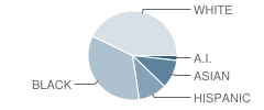 Glen Burnie Park Elementary School Student Race Distribution