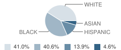 Hilltop Elementary School Student Race Distribution