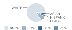 Millersville Elementary School Student Race Distribution