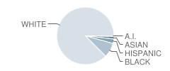 Northeast Sr High School Student Race Distribution