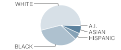 Old Mill High School Student Race Distribution