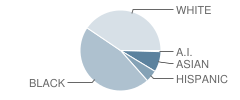 Severn Elementary School Student Race Distribution