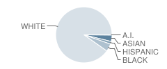 Severna Park Middle School Student Race Distribution