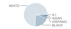 Dowell Elementary School Student Race Distribution