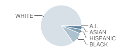 Westminster East Middle School Student Race Distribution