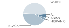 Mary Matula Elementary School Student Race Distribution