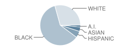 Arthur Middleton Elementary School Student Race Distribution