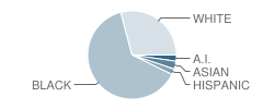 J. C. Parks Elementary School Student Race Distribution