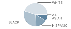 Frederick High School Student Race Distribution